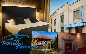Pension Falconi